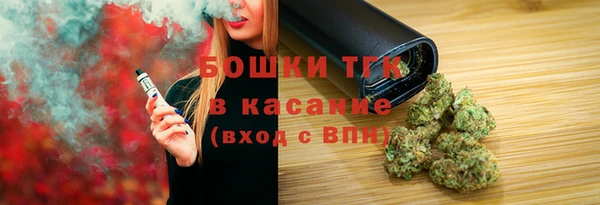 дмт Богородск