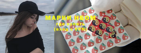 амф Богородицк