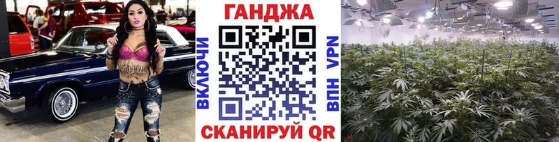 купить наркотик  OMG   Бошки марихуана конопля  Шелехов 